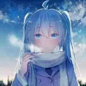 晚风收藏家头像